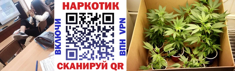 Где купить Рославль A PVP АМФЕТАМИН МАРИХУАНА