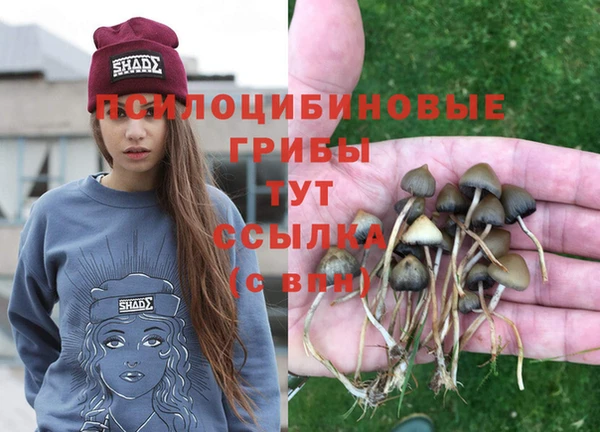PSILOCYBIN Протвино