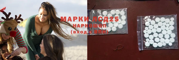 PSILOCYBIN Протвино