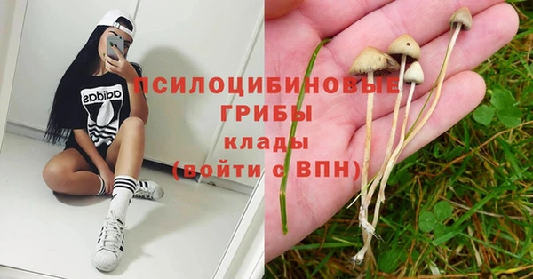 каннабис Пролетарск