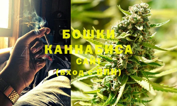 PSILOCYBIN Протвино