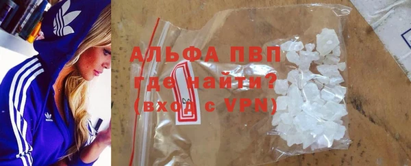 стафф Дегтярск