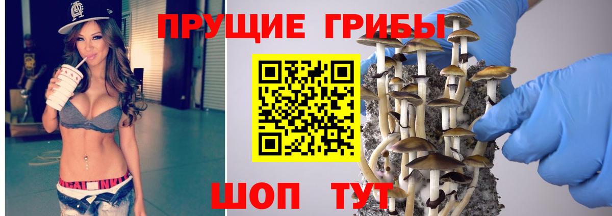 Рославль  Псилоцибиновые грибы Psilocybe  Вход с VPN  Галлюциногенные грибы MAGIC MUSHROOMS 